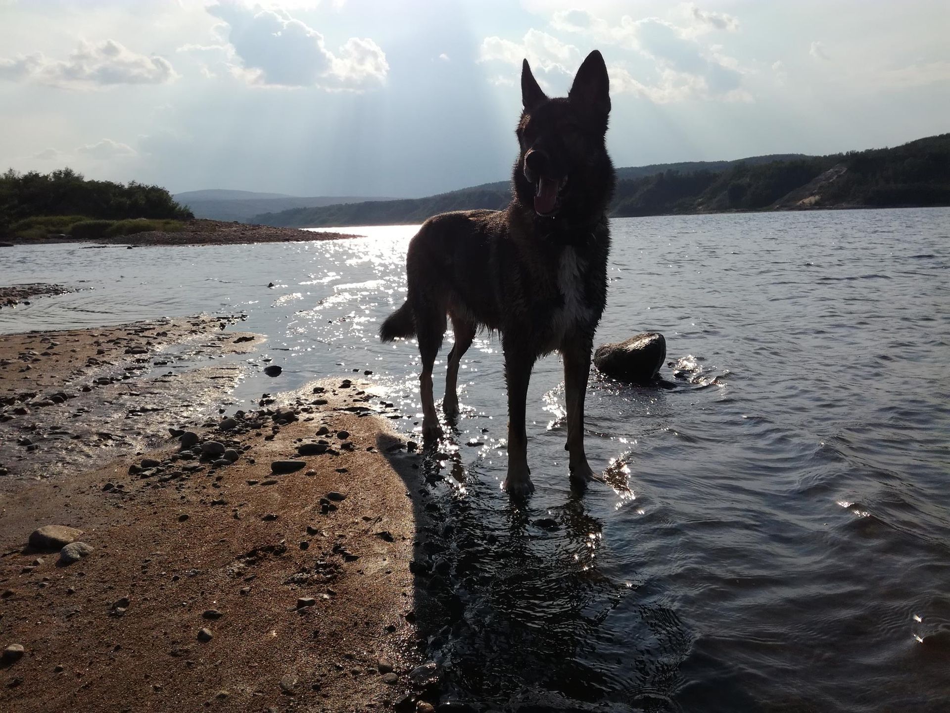 Husky dog sledding tours and summer husky farm visits