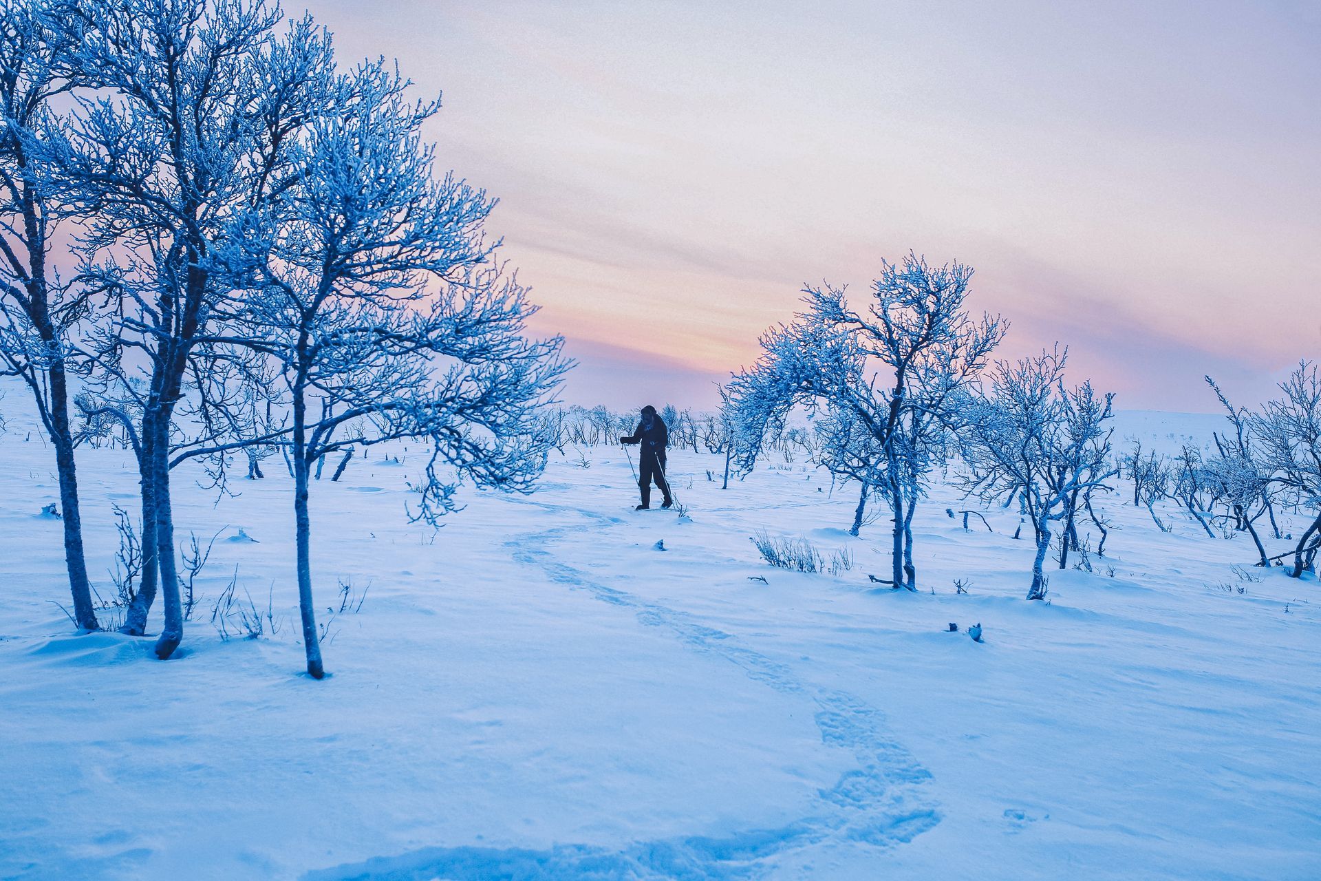 Snowshoeing and polar night colors in Paistunturi wilderness area, Utsjoki
