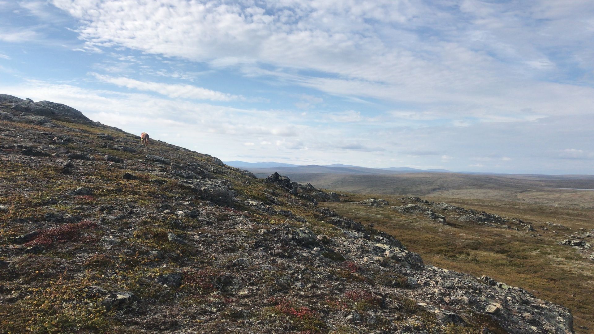 Tundra scenery in Paistunturi wilderness area in utsjoki, lapland north