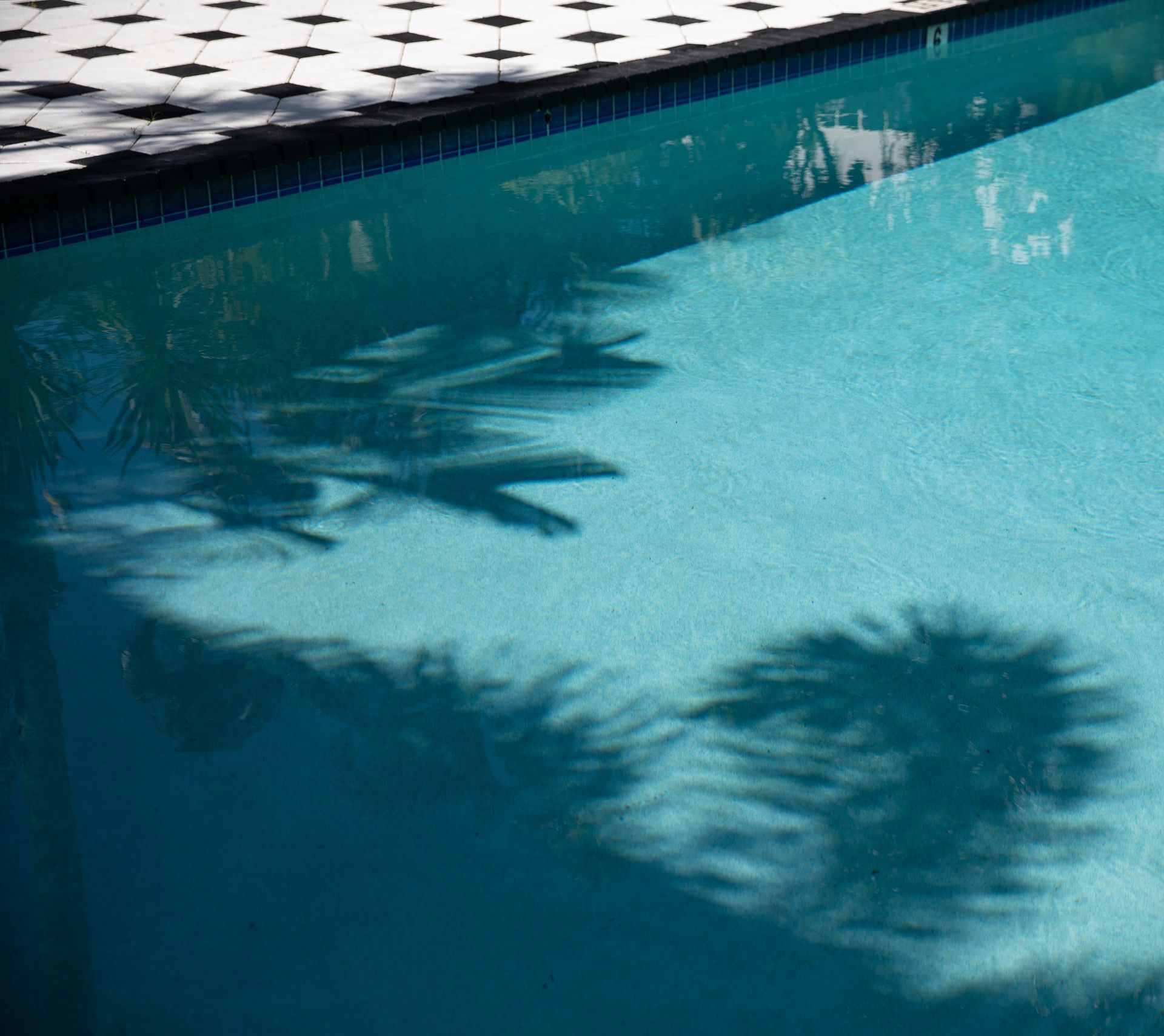 Pool with blue water; shadows of palm trees reflected on the surface, tiles on the edge.