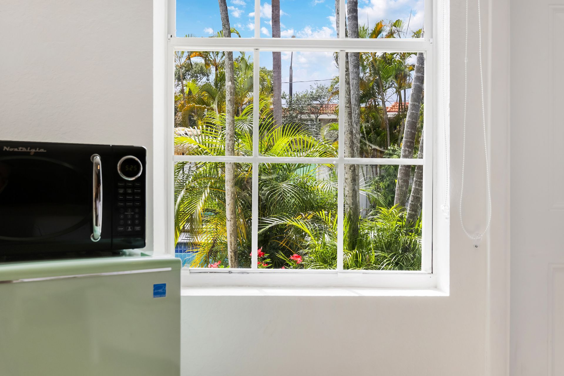 Microwave on small refrigerator by window with tropical foliage view.