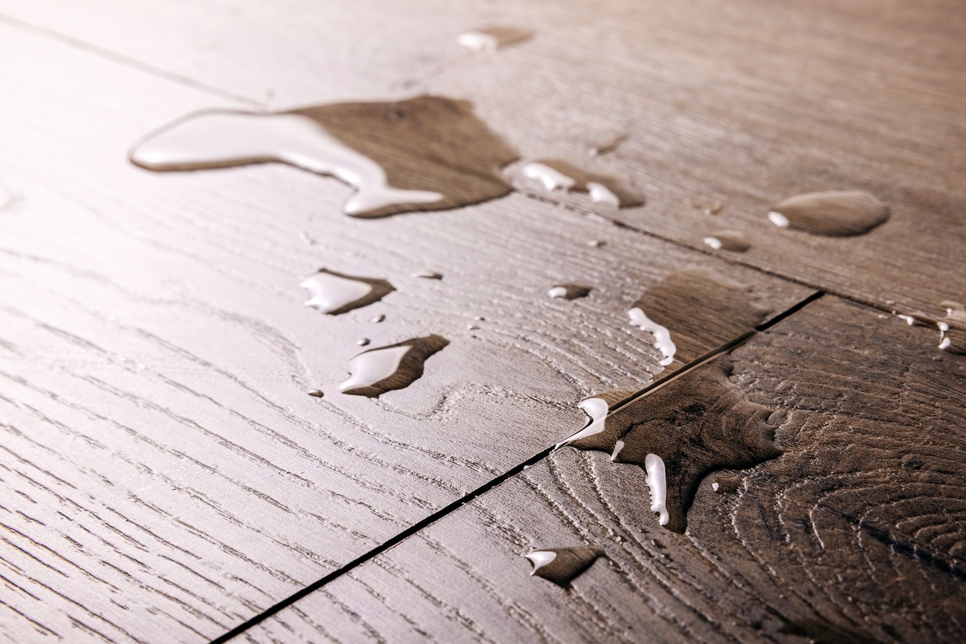 Water spilled on a dark wooden floor near a seam in the boards Water spilled on a dark wooden floor near a seam in the boards