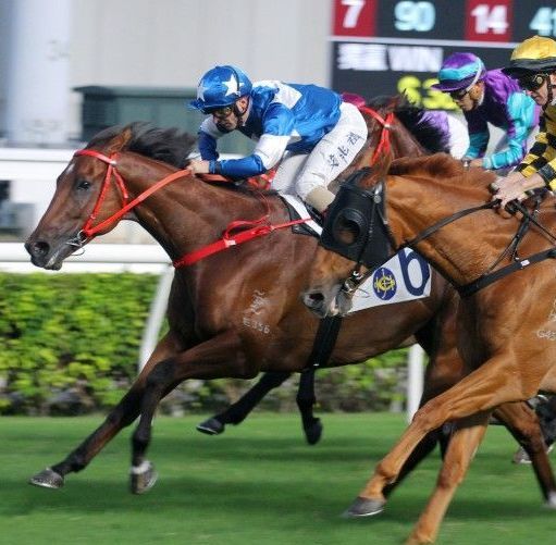 A jockey riding a horse with the number 60 on it