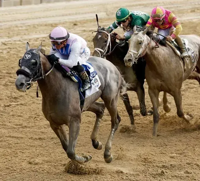 A jockey is riding a horse with the number 19 on the front