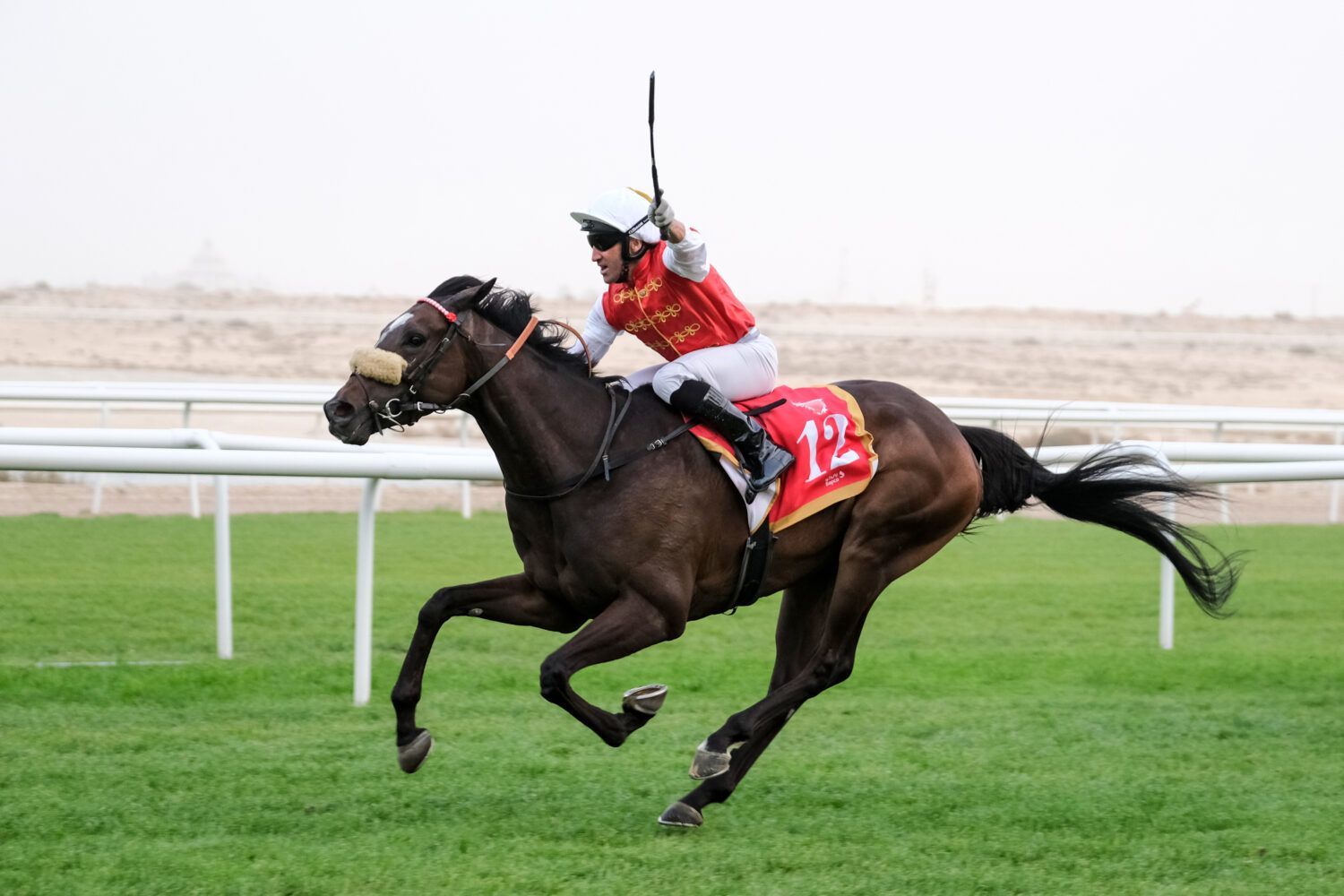 A jockey is riding a horse with the number 12 on the saddle.