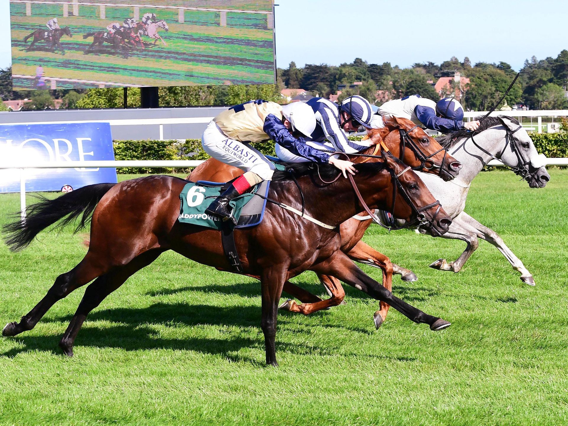A group of horses are racing on a track.