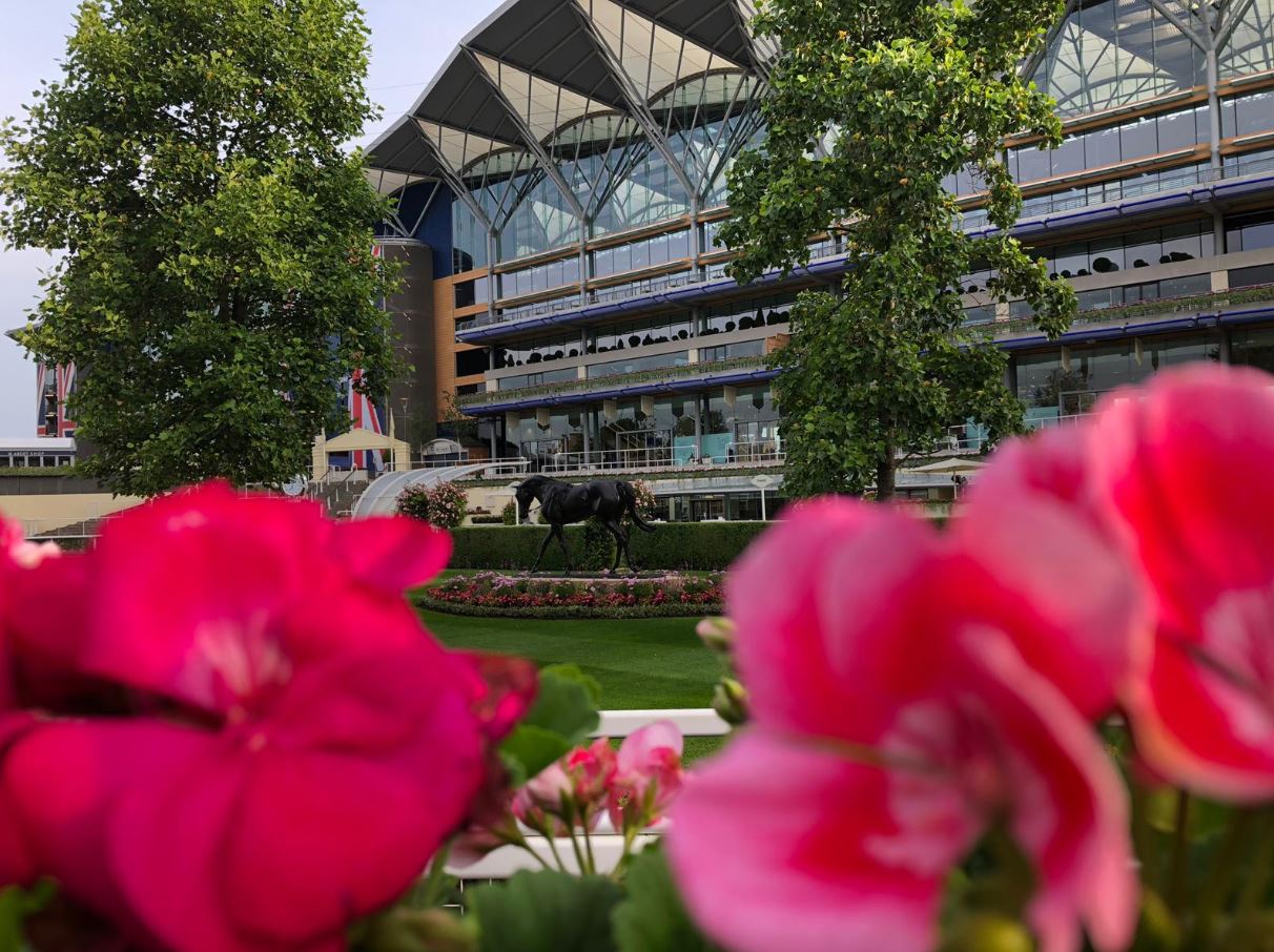 A horse is standing in front of a building with pink flowers in the foreground.