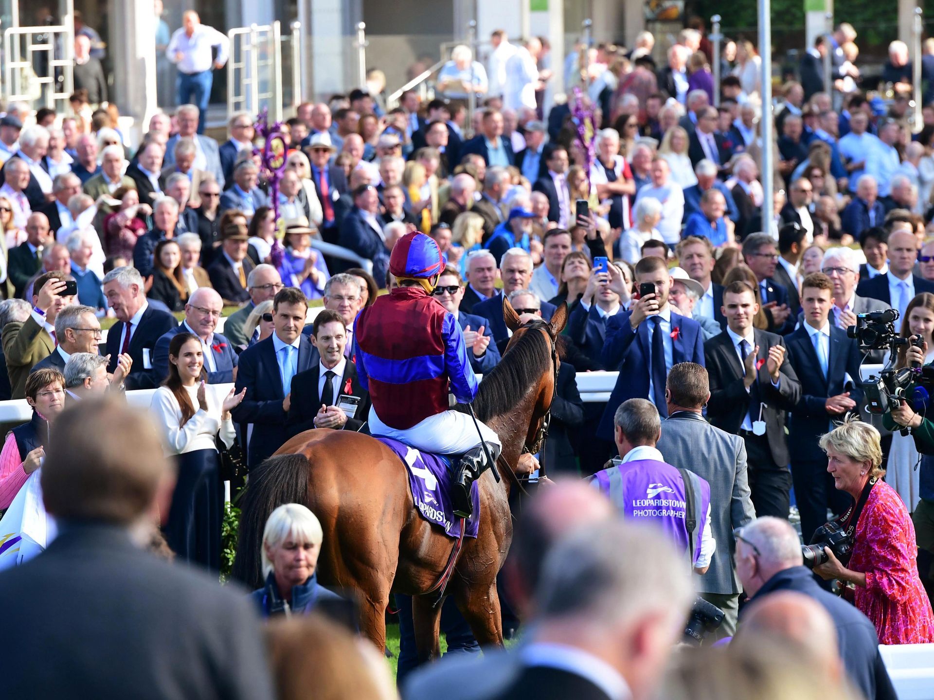A jockey is riding a horse in front of a crowd of people.