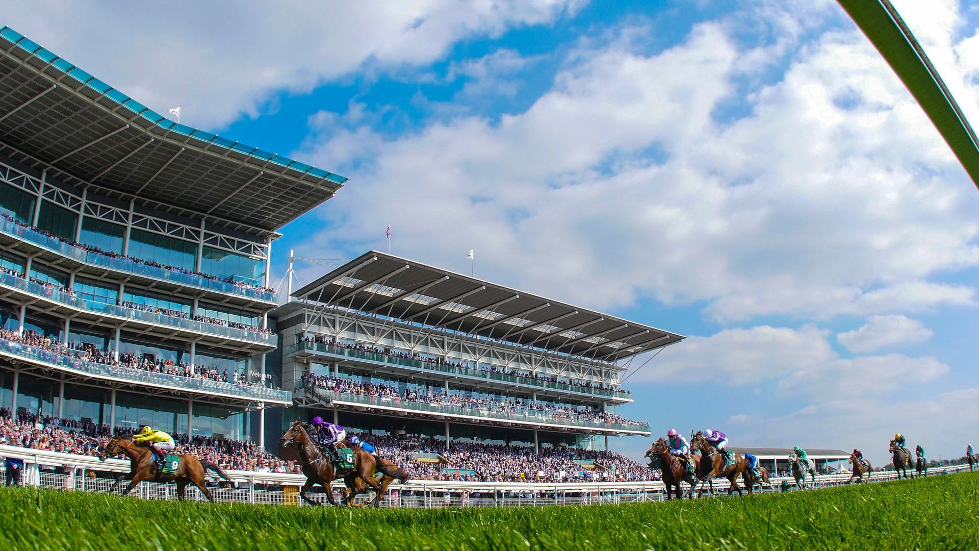 A group of horses are racing on a race track.