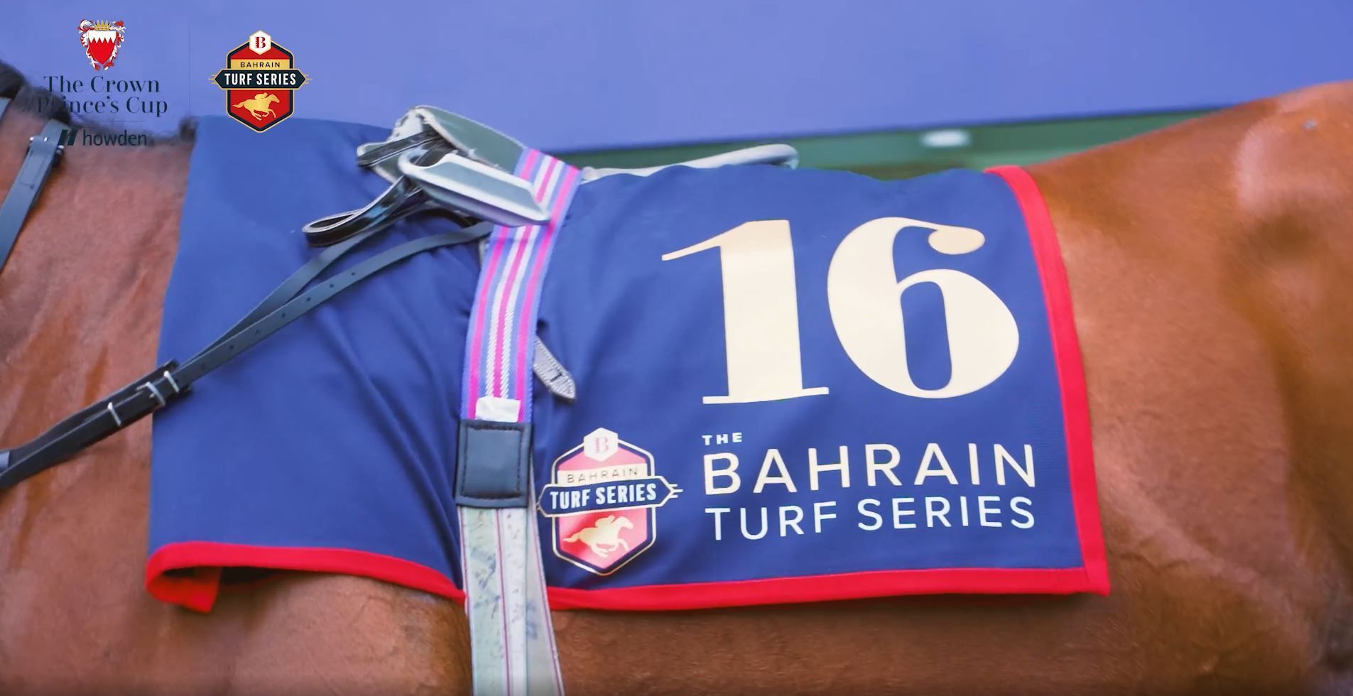 A horse wearing a blue and red blanket with the number 16 on it
