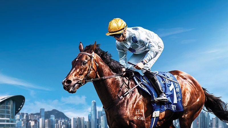 HBA Media | a jockey is riding a horse in front of a city skyline .