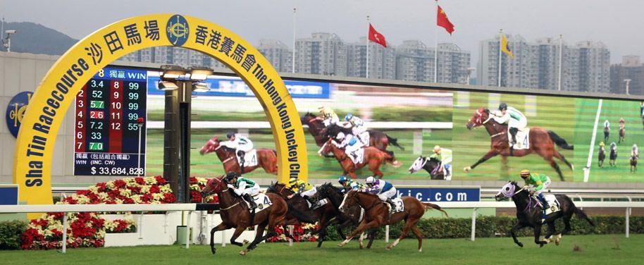 A group of horses are racing on a race track