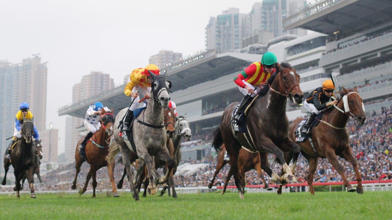 A group of horses and jockeys are racing on a track.