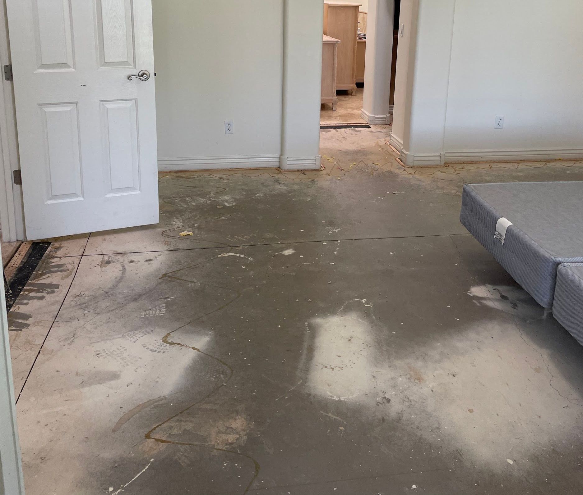 Flood-damaged room with wet, stained carpet and a gray couch beside an open doorway
