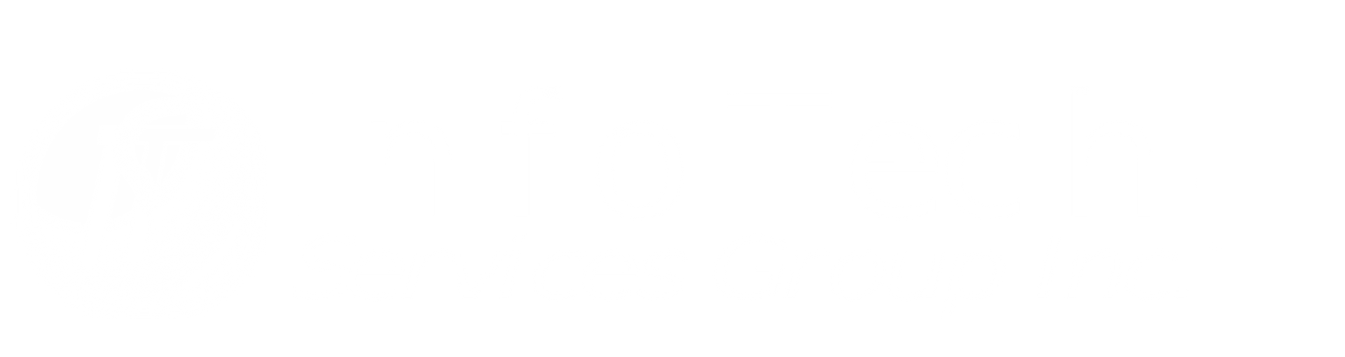 InfoTech logo