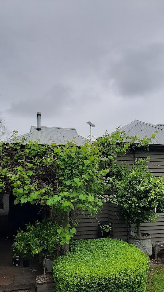 A House With A Lot Of Trees In Front Of It On A Cloudy Day — Boardman's TV Antennas in Basin View, NSW