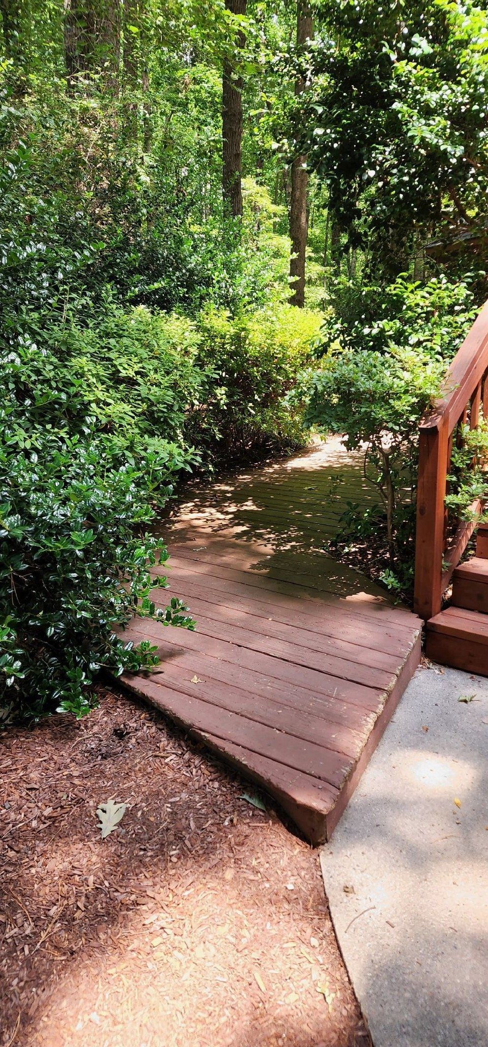 A wooden walkway leading to a deck in the woods.