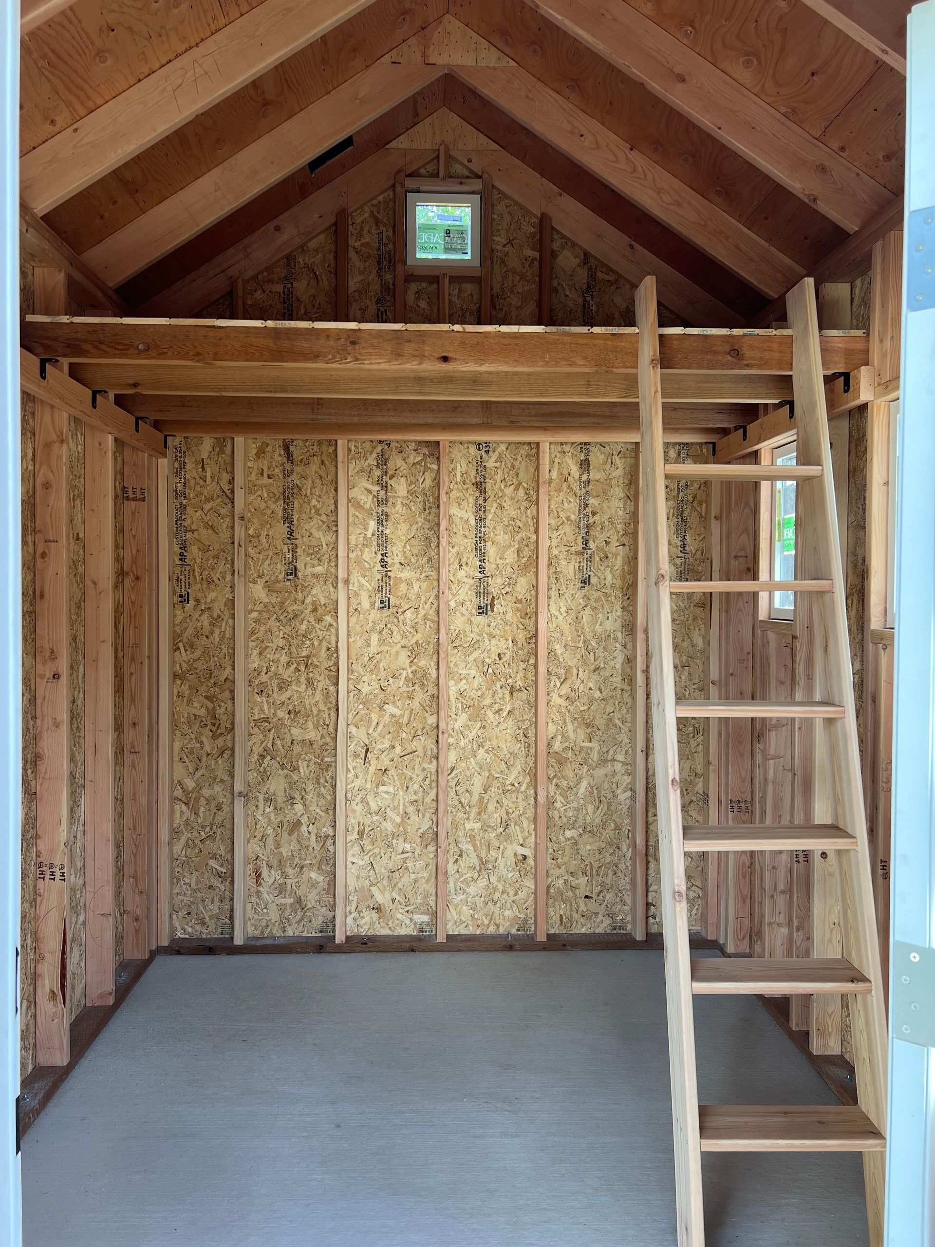 Interior of a small wooden shed with a loft. A ladder leads to the loft area. Walls are unfinished wood.