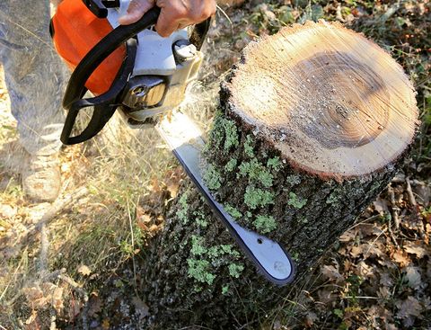 Cutting of Large Diameter Wood — San Diego County, CA — Xtreme Arborists
