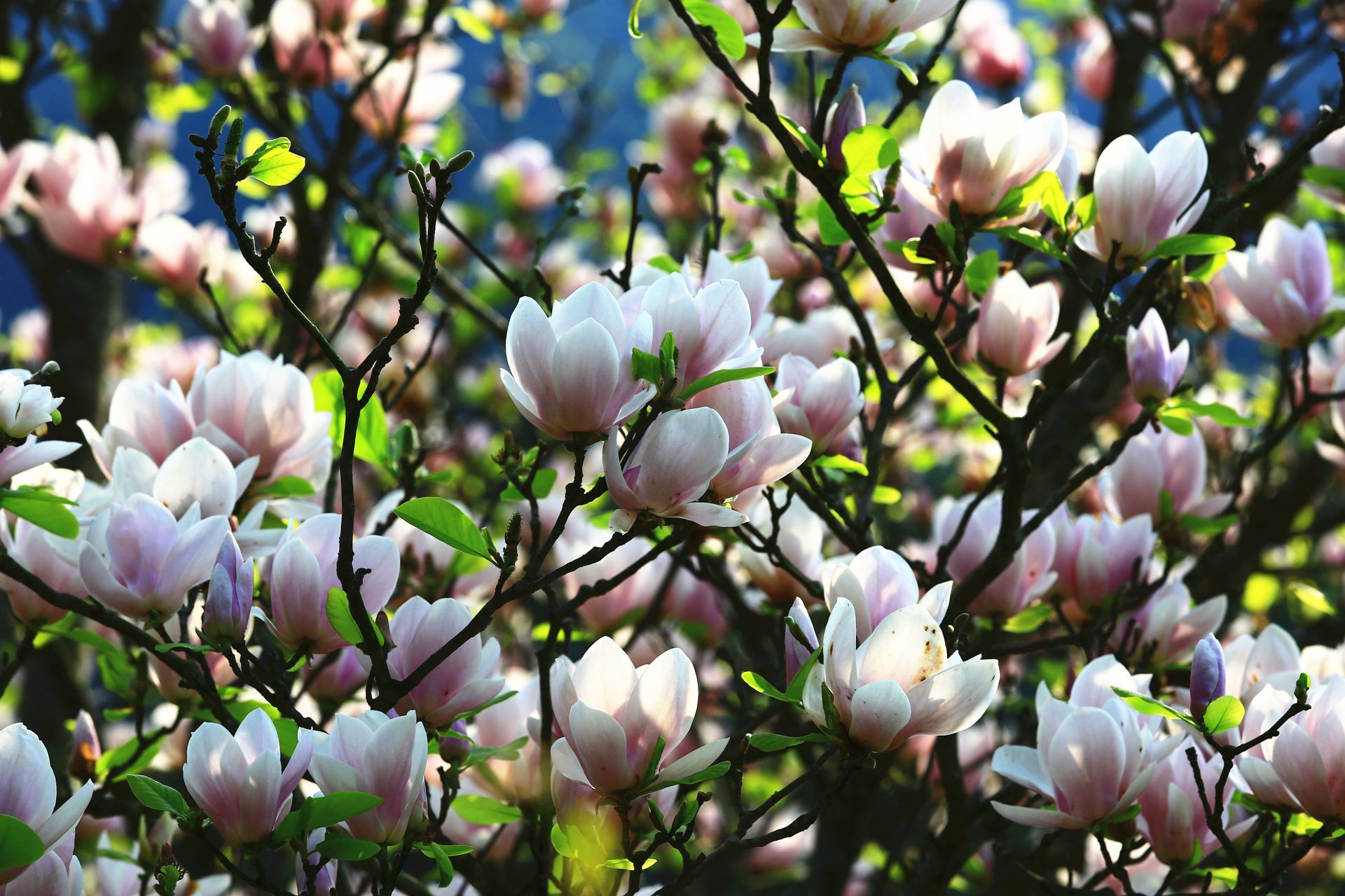 A large office building with a lot of windows on a sunny day.