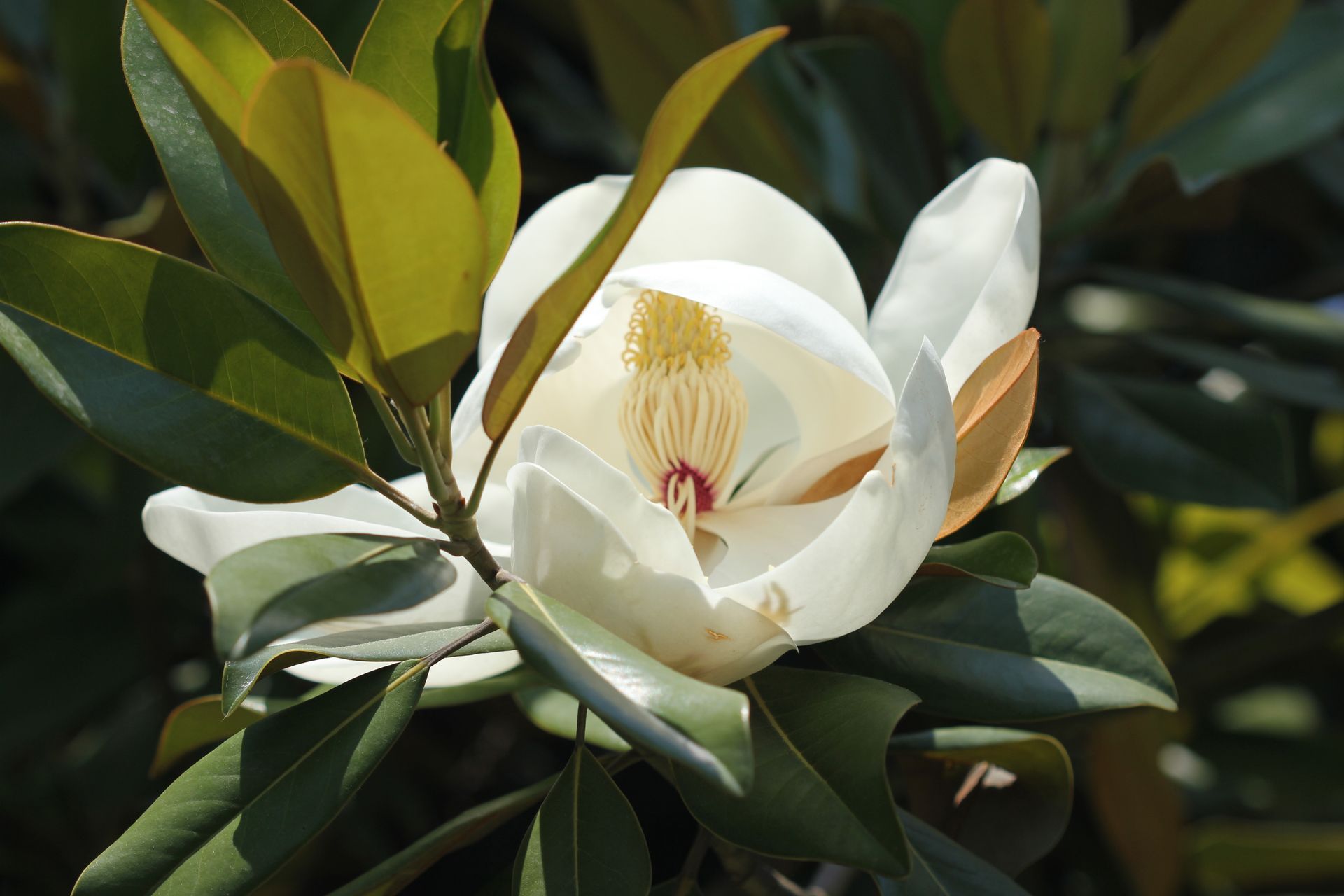 A large office building with a lot of windows on a sunny day.
