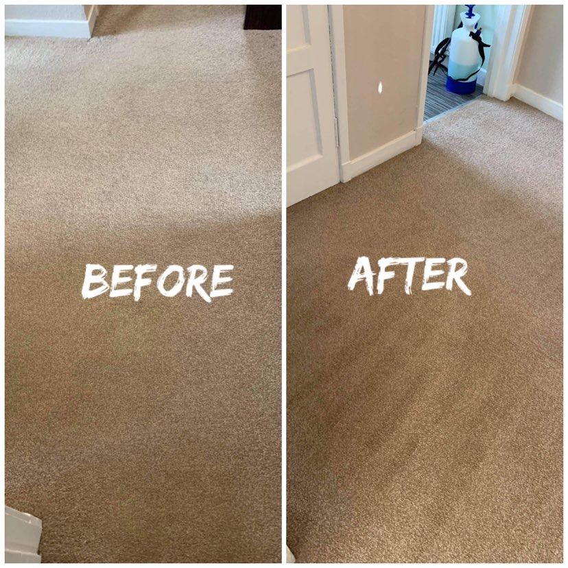 carpet cleaning in Aberlady,East Lothian