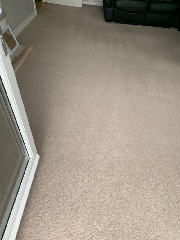 Specialist Carpet Cleaning End of Tenancy Cleaners East Lothian MacMac