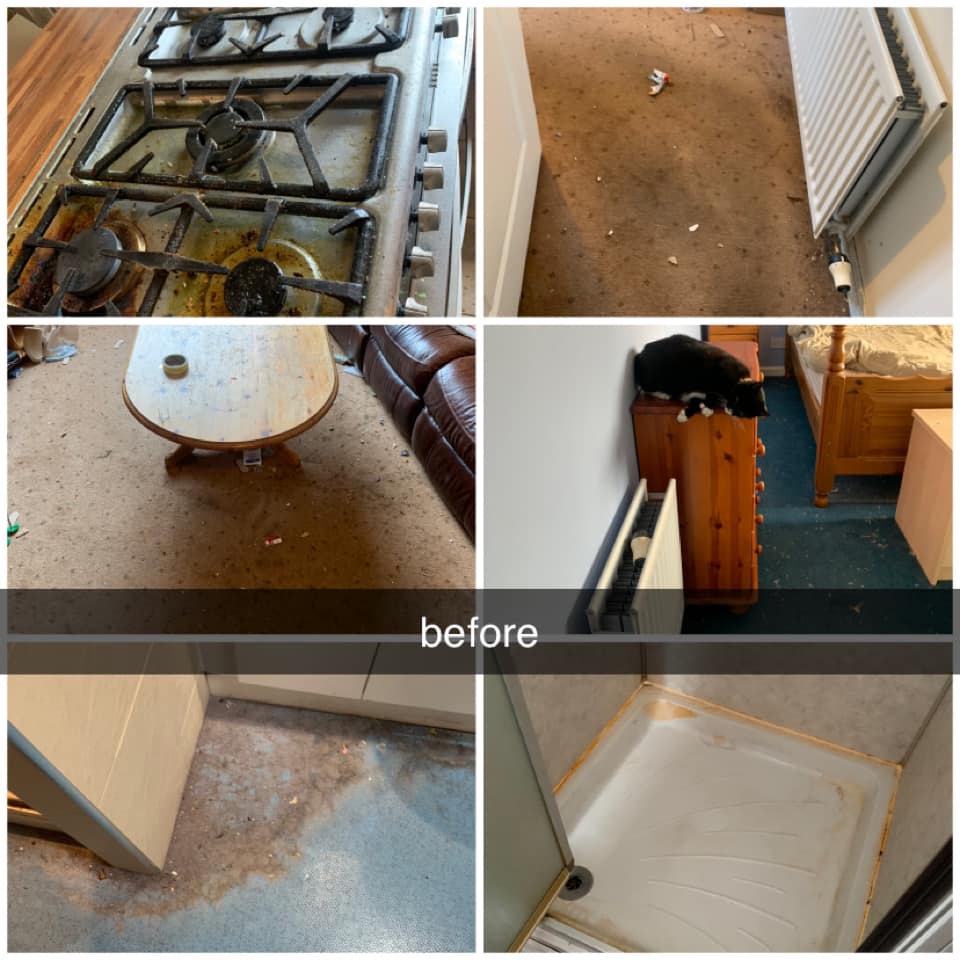 Specialist Carpet Cleaning End of Tenancy Cleaners East Lothian MacMac