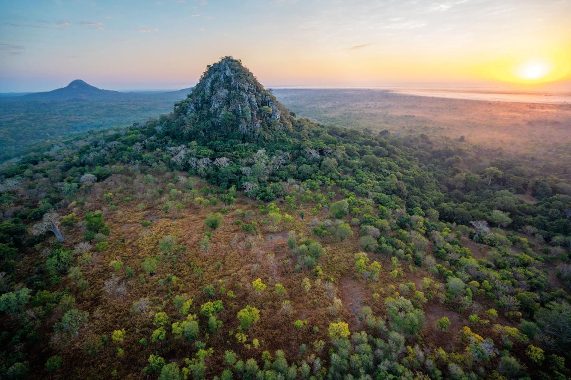 A rocky, pyramid-shaped peak rises above a dense forest canopy at sunrise, with a second distant hill on the horizon.