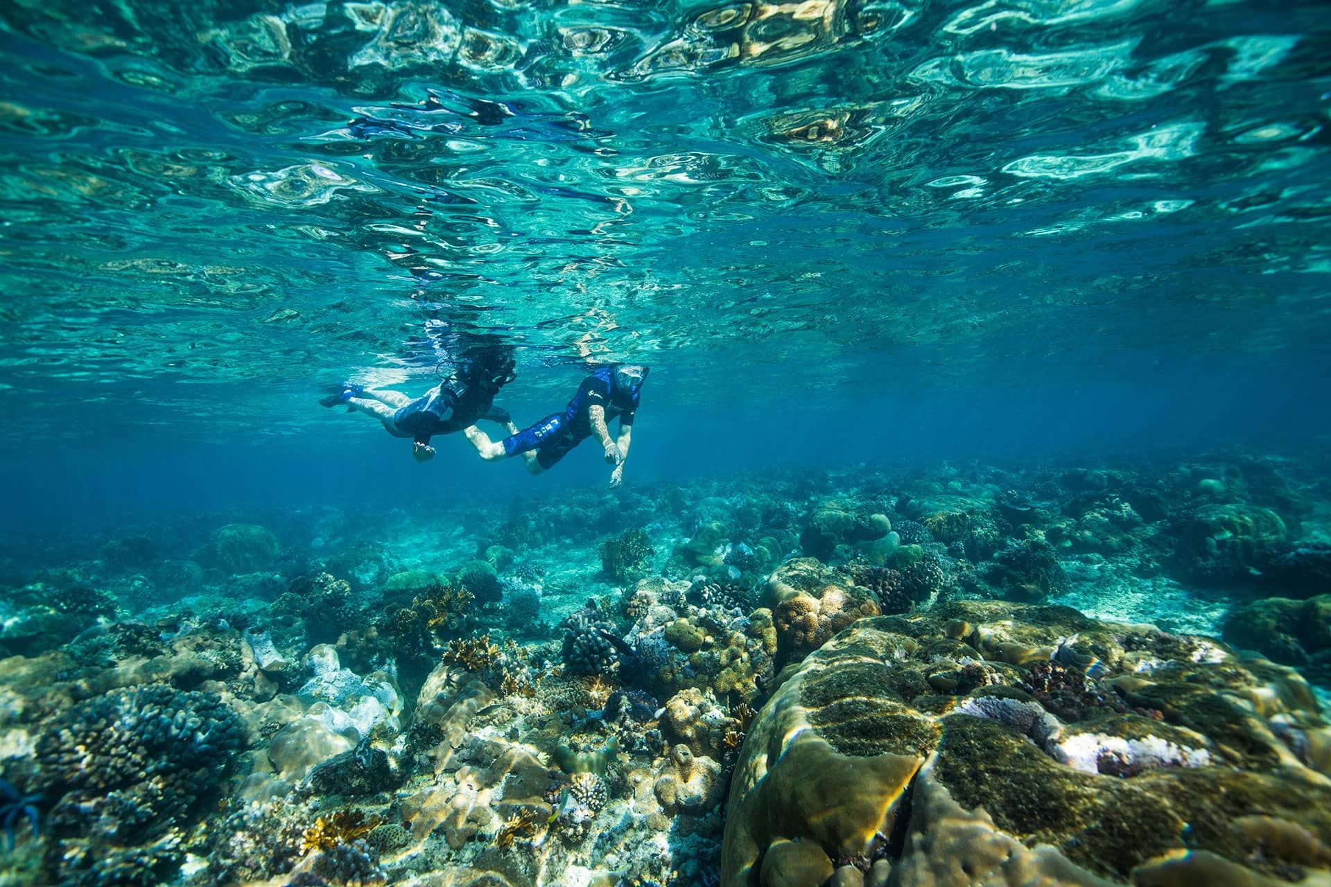 Two snorkelers swim above a colorful coral reef in clear blue water.
