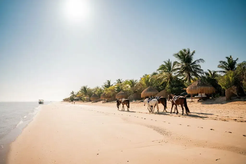 Horses walking along a sunny tropical beach with palm trees and thatched huts