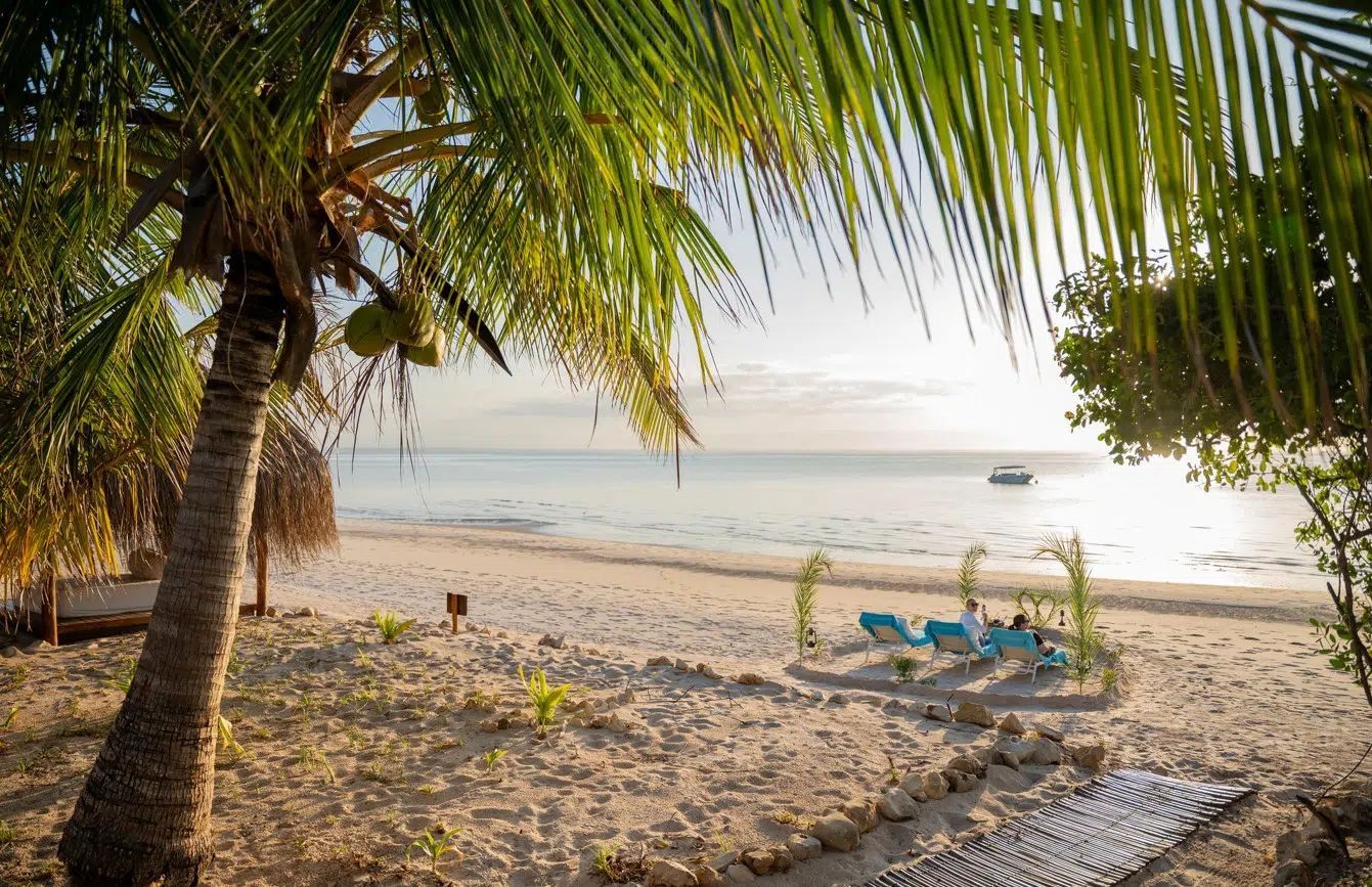 Palm-framed sandy beach at sunset with a blue lounge chair, calm water, and a small boat offshore