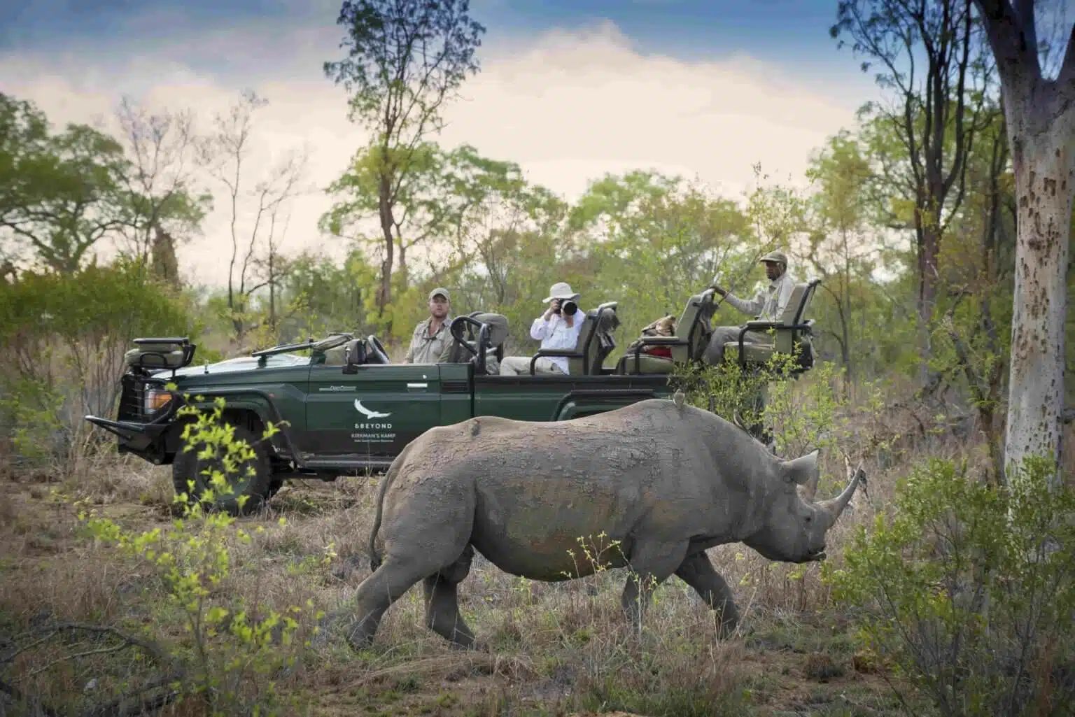 Safari vehicle with tourists watching a rhino crossing dry woodland