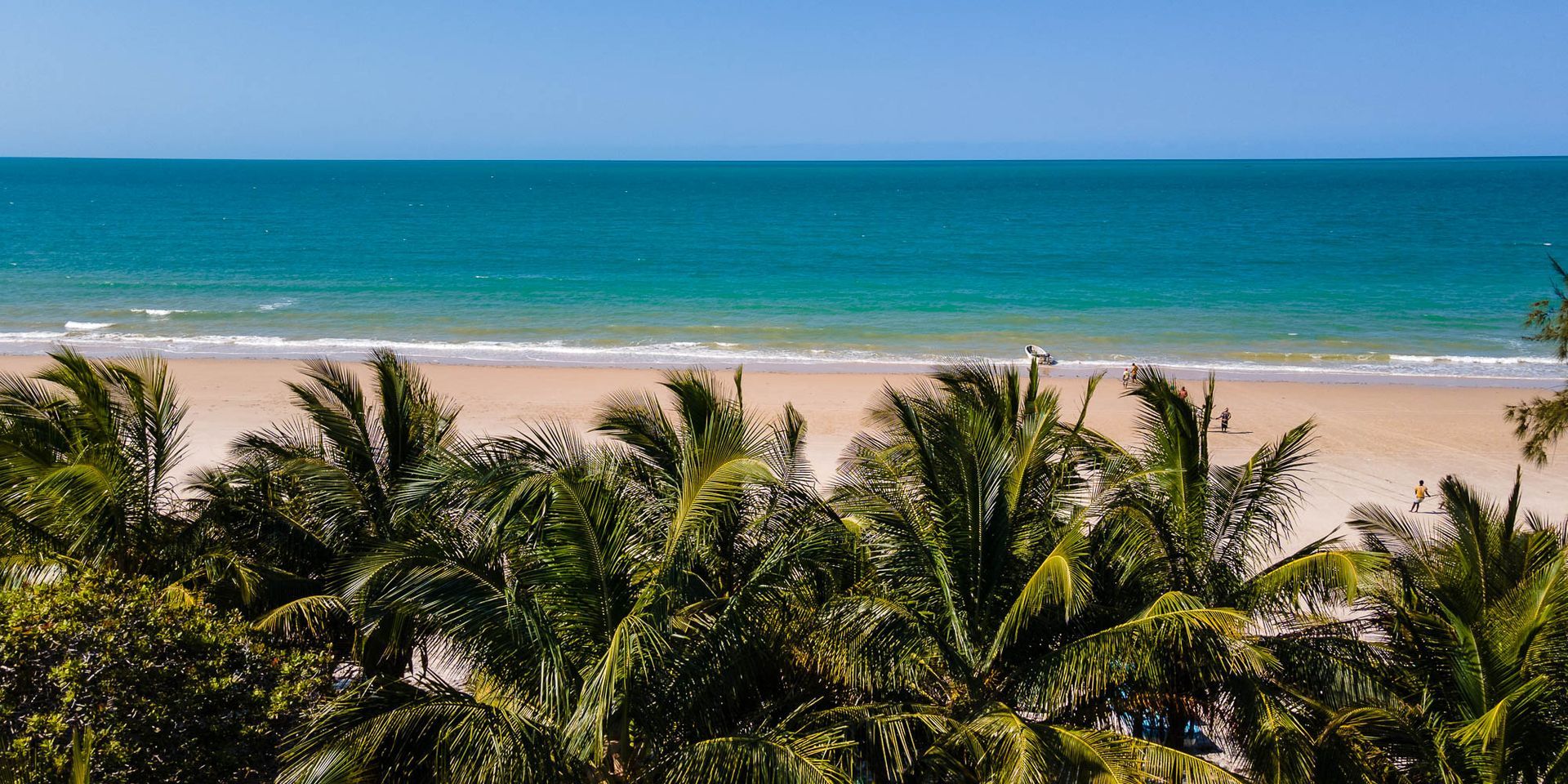 Palm trees framing a sunny beach with turquoise ocean and clear blue sky