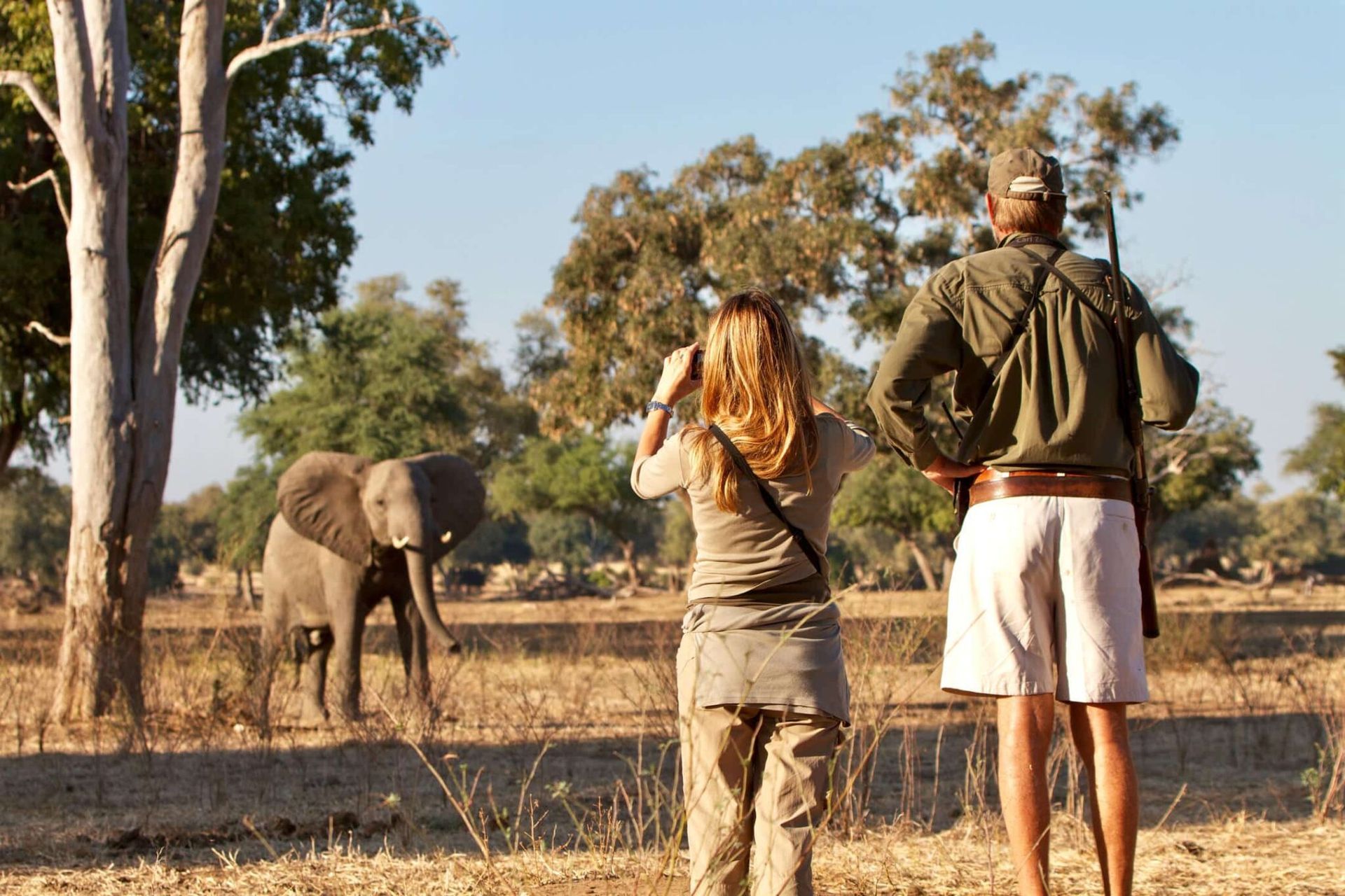 Two people observing an elephant in a dry savanna with trees in the background