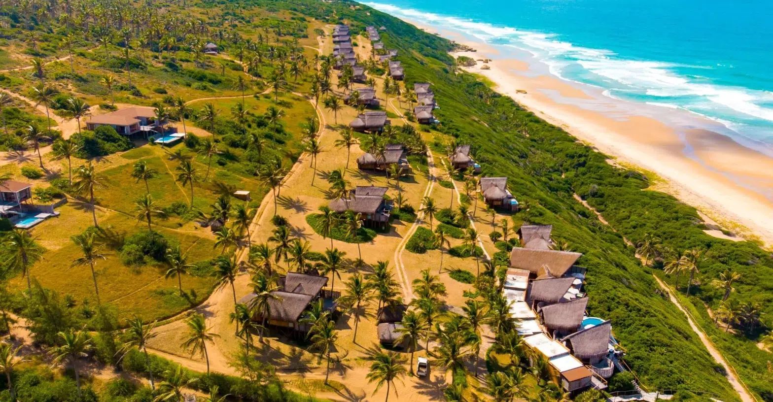 Aerial view of beachfront cabins beside a sandy shore and turquoise ocean, lined with palm trees.