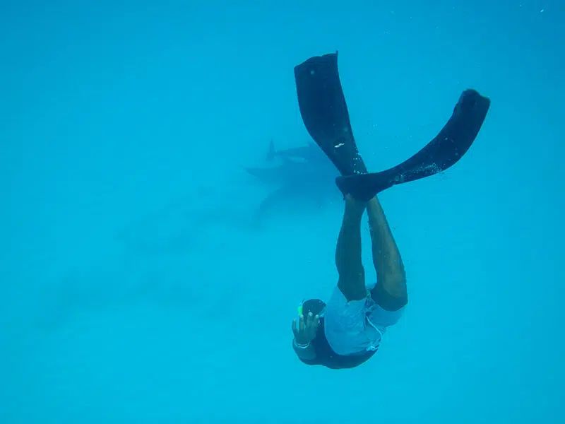 Person underwater with long black fins in a blue ocean scene