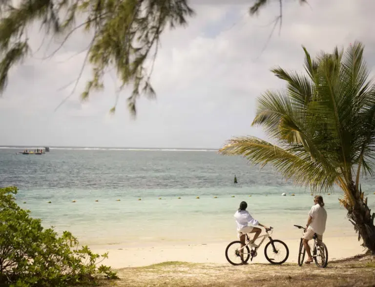Two people with bicycles on a tropical beach under palm trees, looking out at calm blue water.