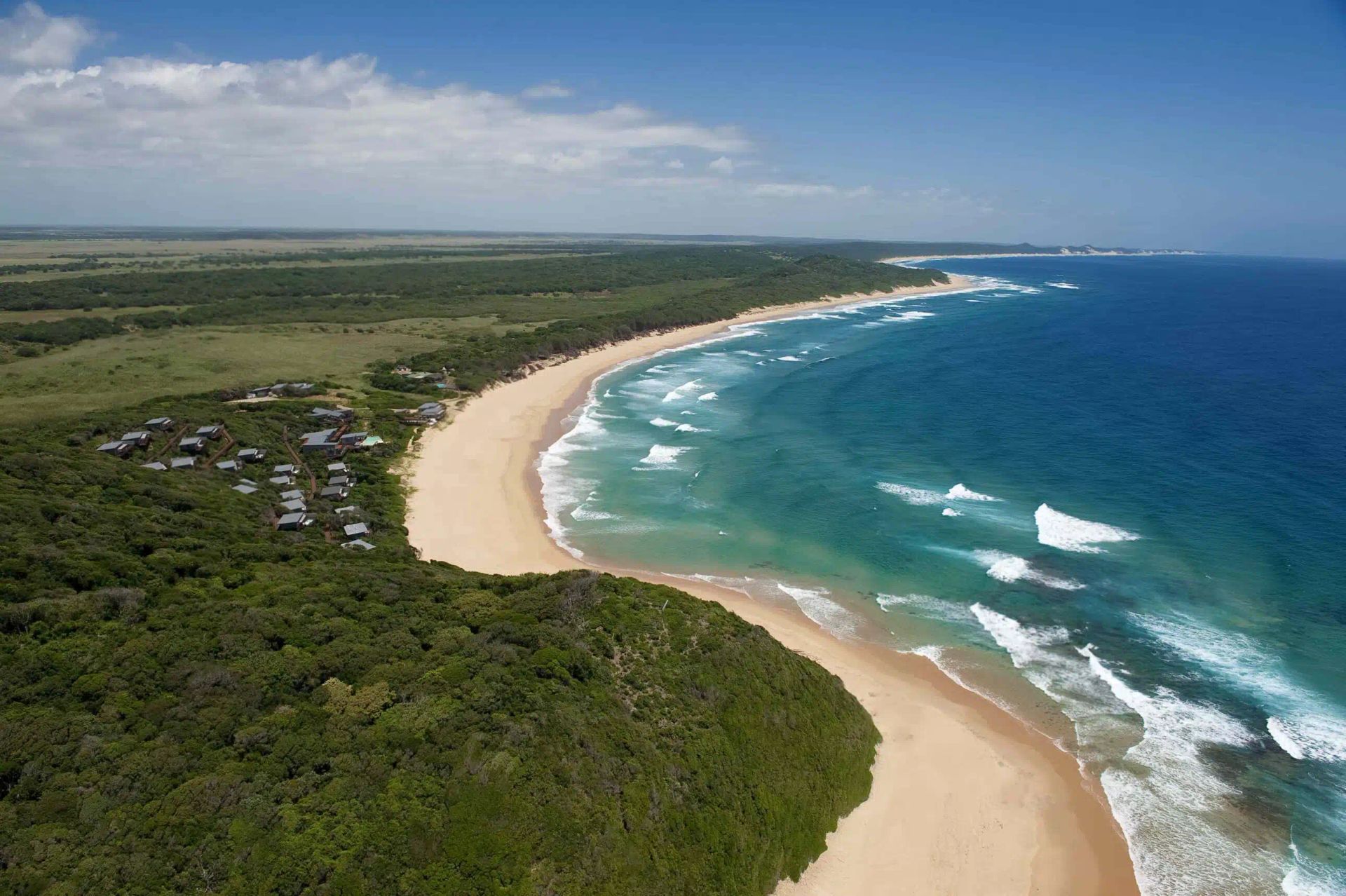 Aerial view of a sandy beach curving along a blue ocean beside dense green coastal forest