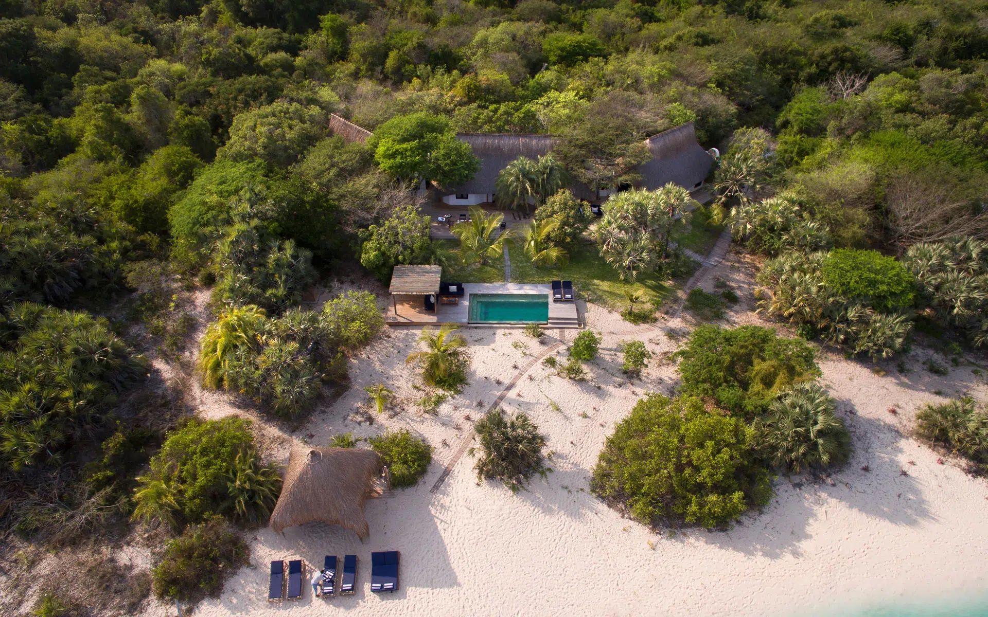 Aerial view of a beach resort pool beside dense green trees and white sand with lounge chairs.