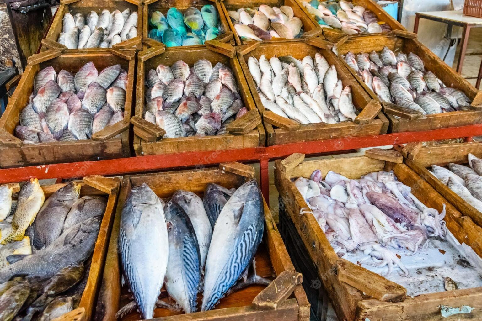Renowned for its seafood, shoppers at the Maputo Fish Market (Mercado de Peixe) are rewarded with a variety of fish and other oceanic bounties.
