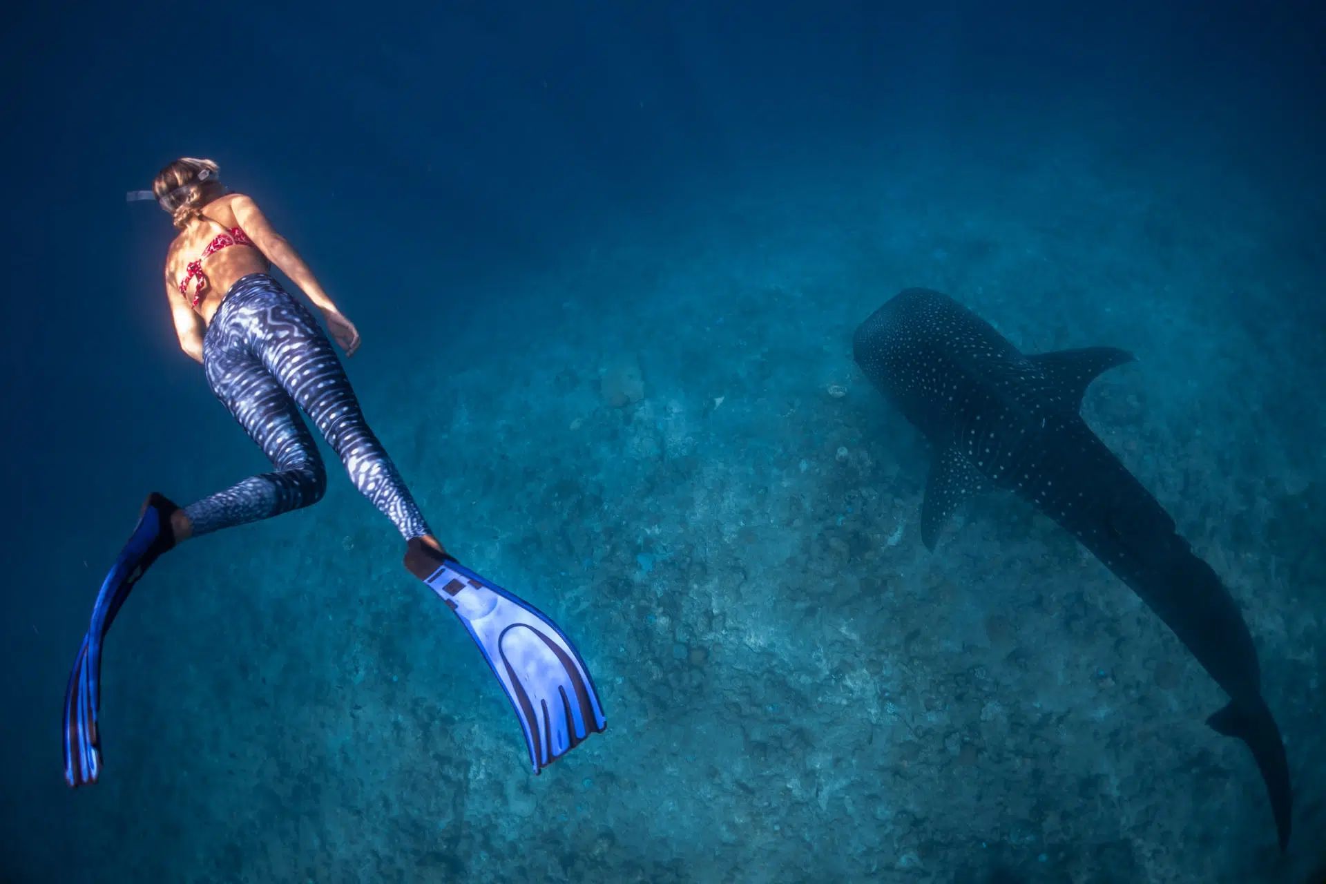 Mermaid swimming underwater near a shark-shaped shadow in blue ocean water