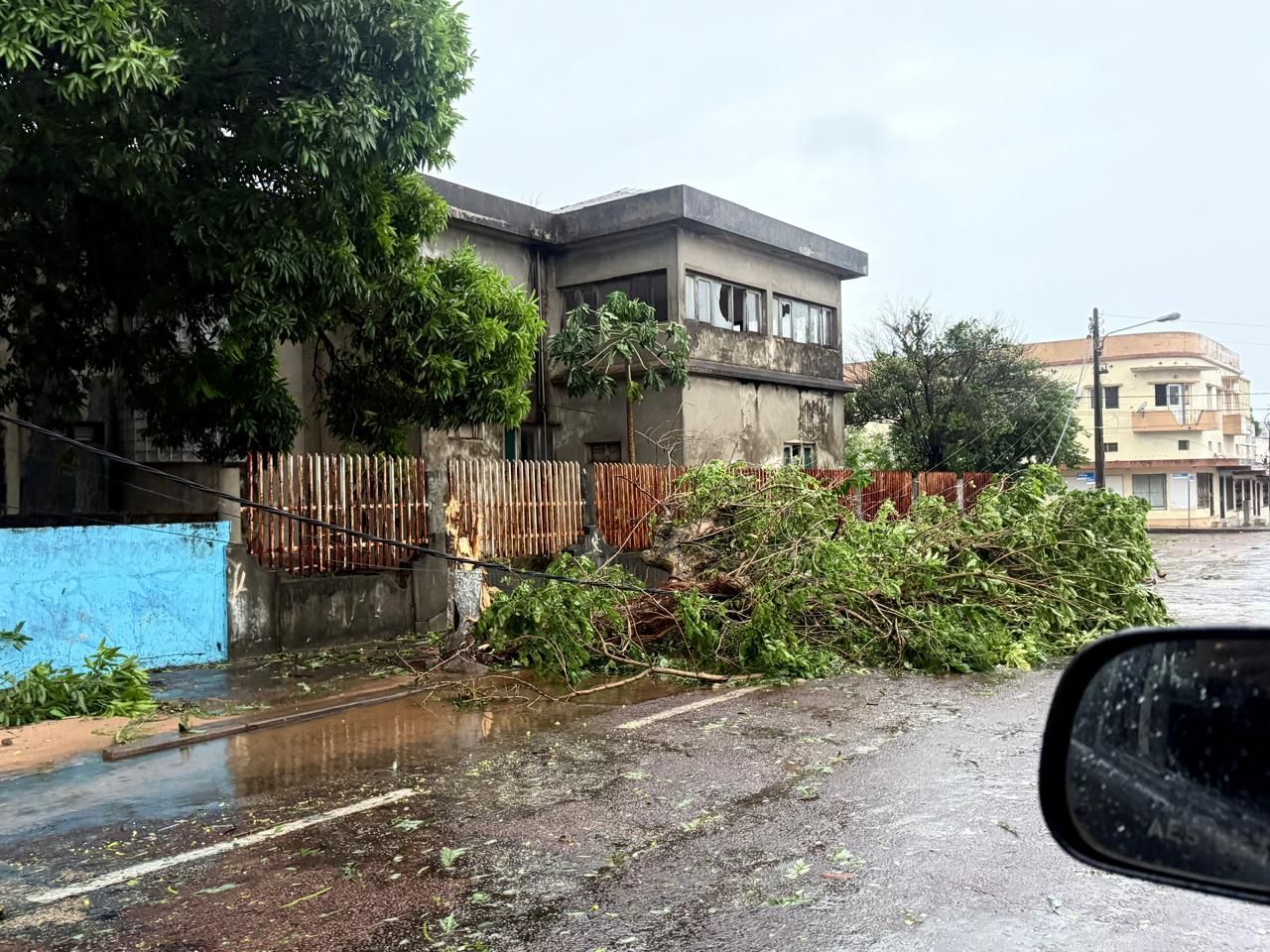 Rainy street with a fallen tree branch blocking the road beside a house and parked car