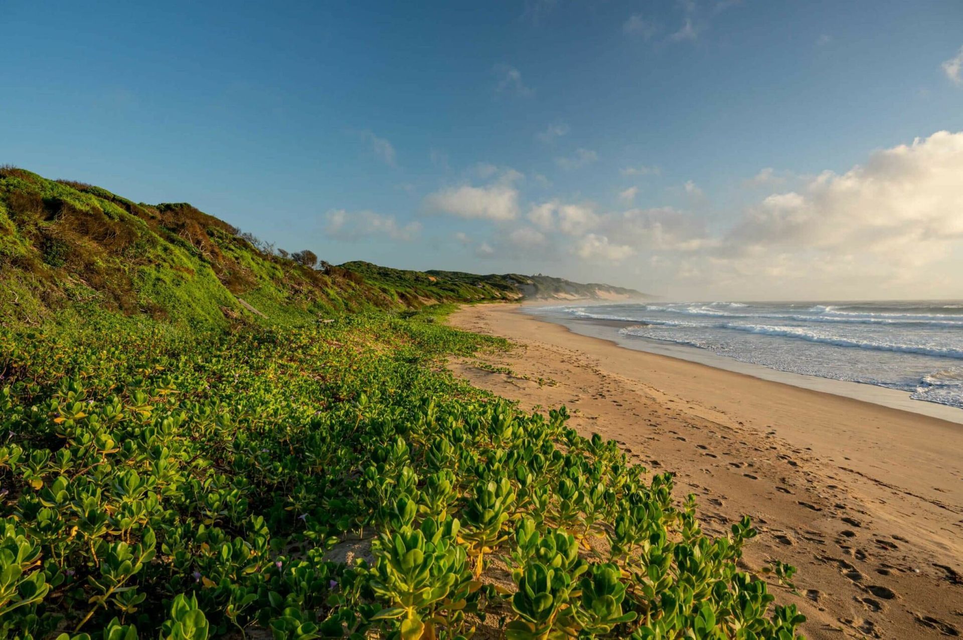 Sunny beach with dunes, green vegetation, and waves under a blue sky