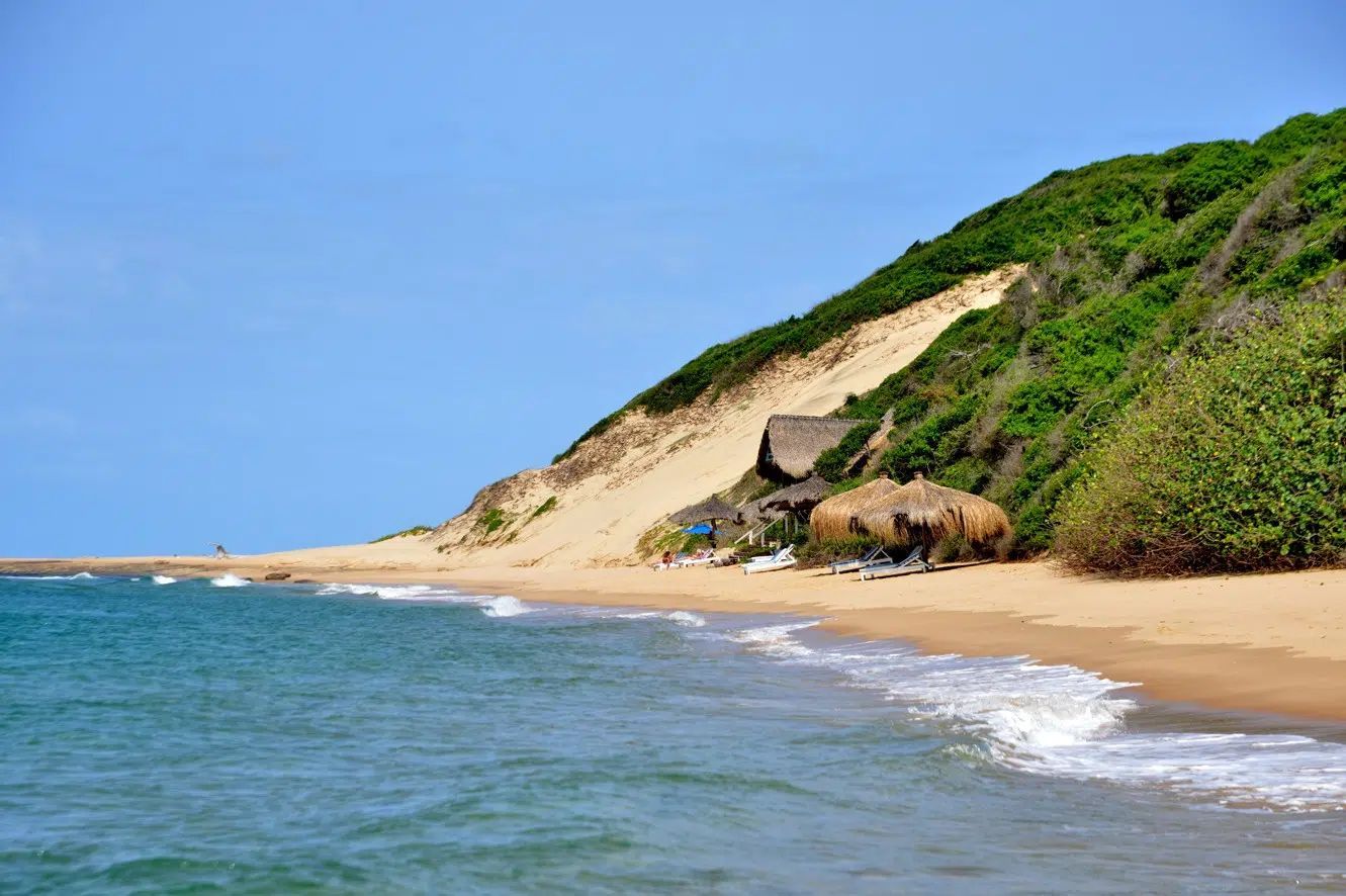 Sandy beach with gentle waves, green cliffs, and blue sky on a sunny day