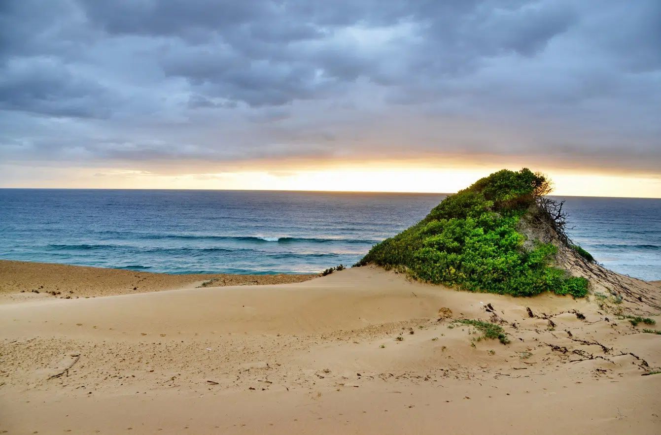 Sandy beach with a small green dune under cloudy skies beside a calm ocean