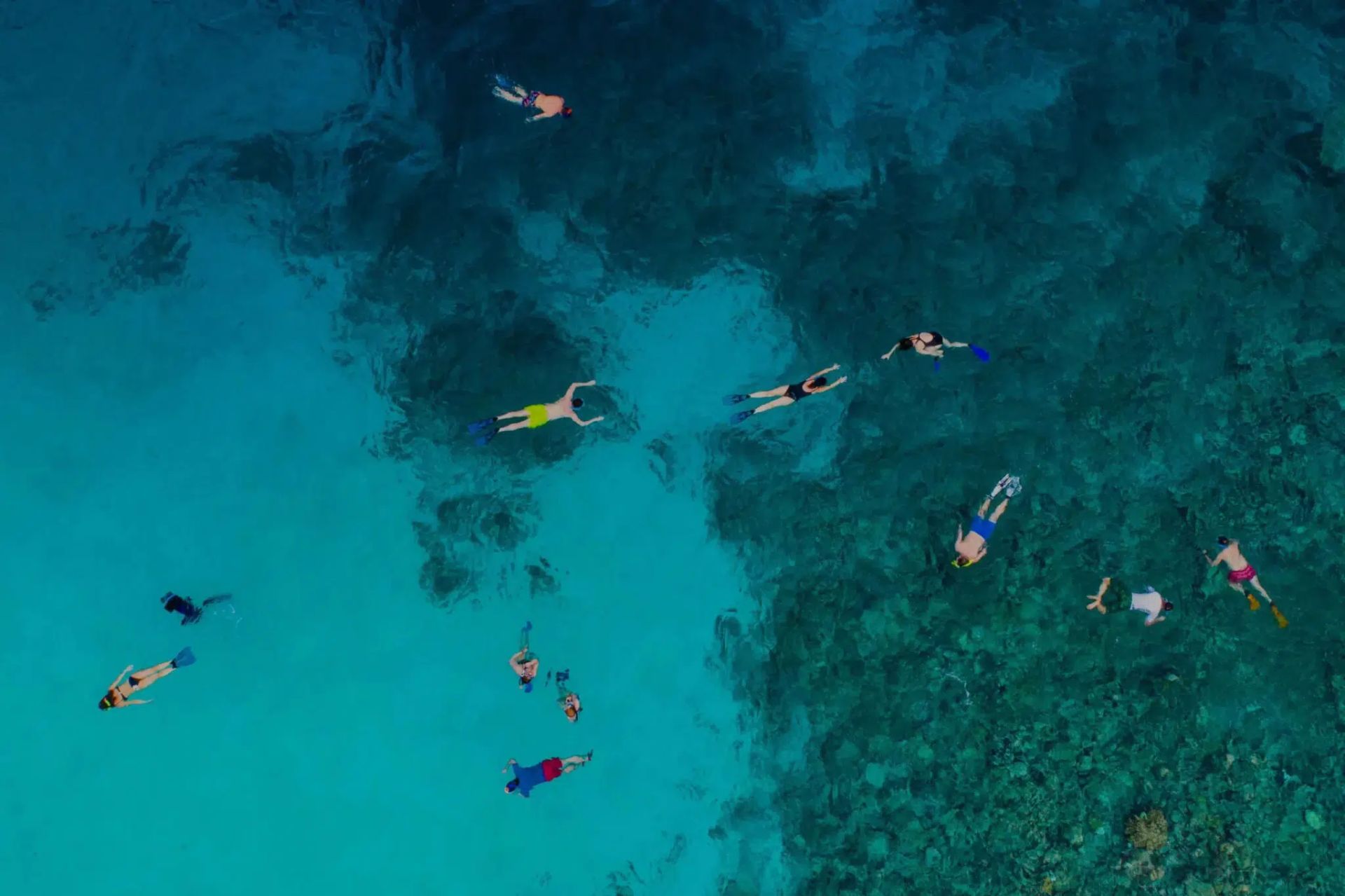 Snorkelers floating in turquoise water above a coral reef from an aerial view