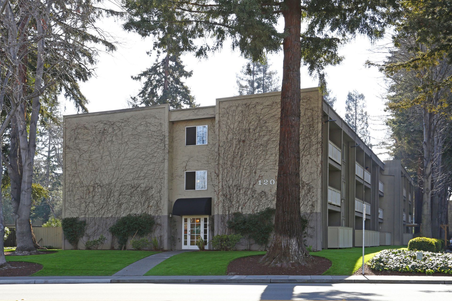 A large apartment building with a tree in front of it
