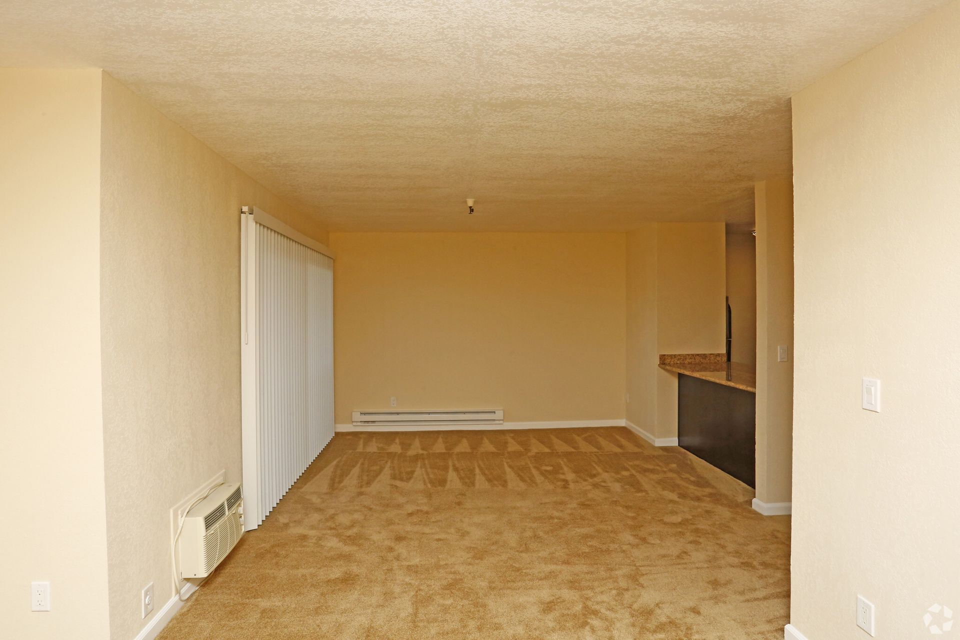 An empty living room with a carpeted floor and a sliding glass door.