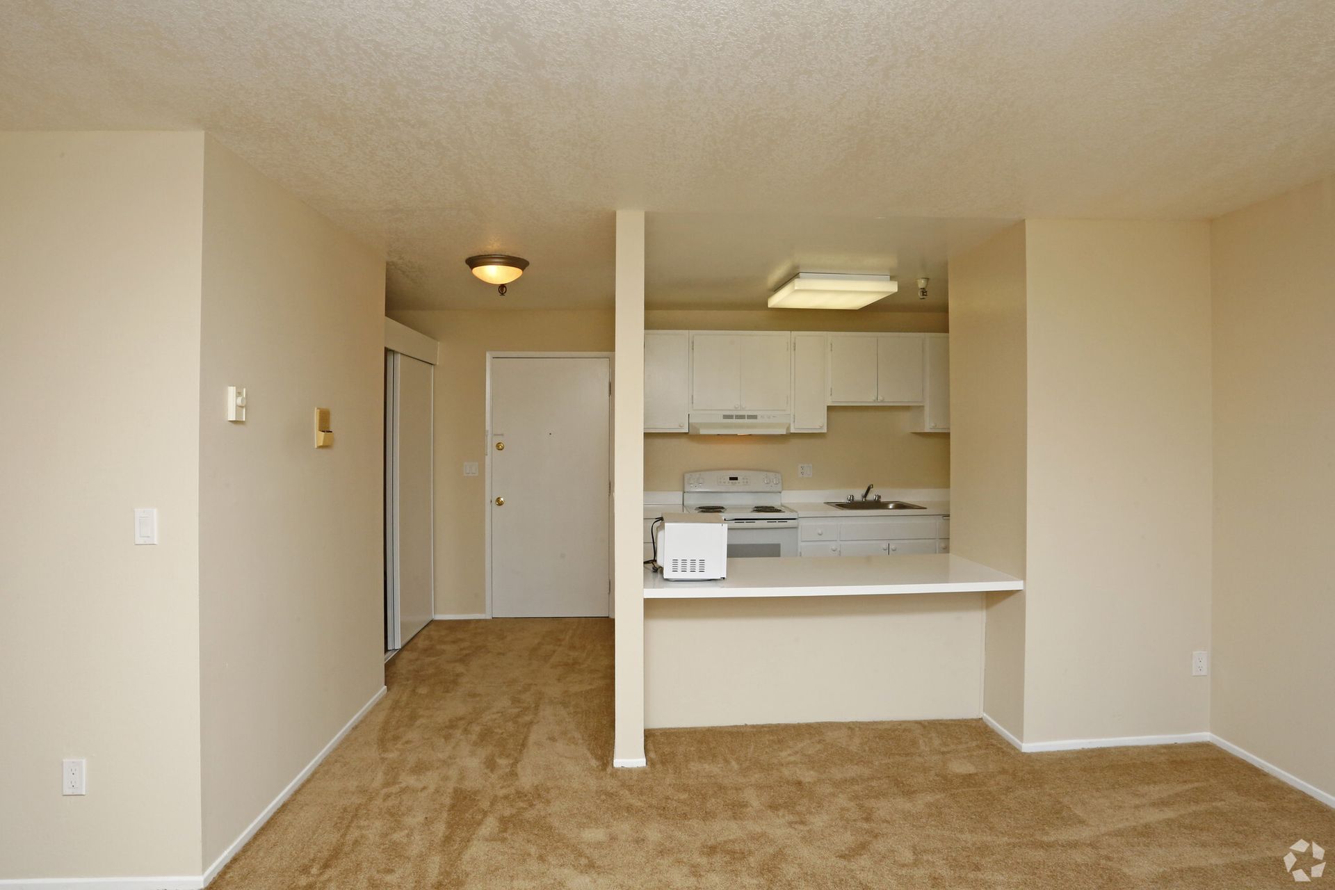 An empty apartment with a kitchen and a living room
